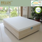 Max Rest Mattress